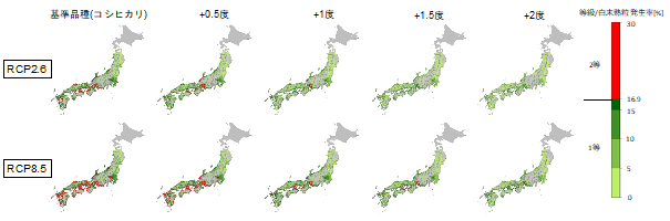 ⾼温耐性を持った⽔稲品種の開発・導⼊基準を解明